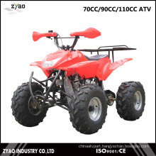 Most Hot Sale EEC 70cc ATV 110cc Quad with High Quality Zya-07 Series